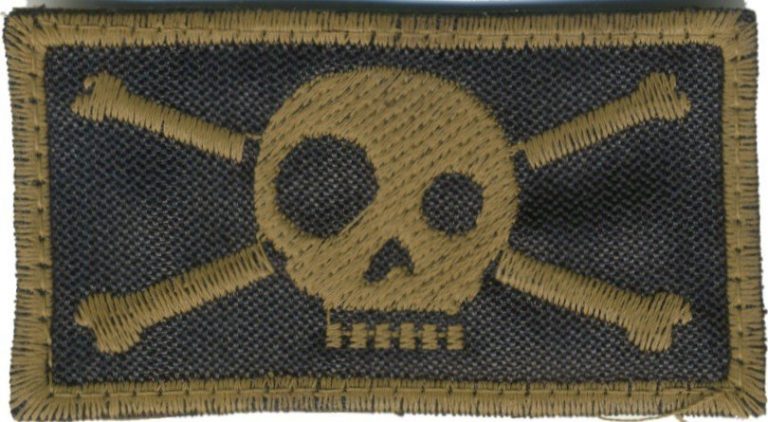 Skull